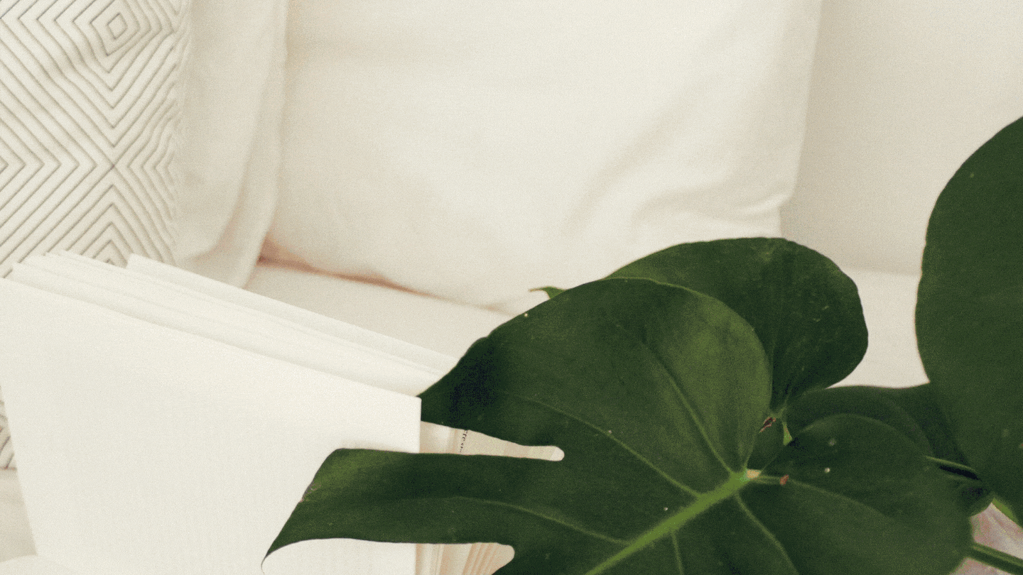 333 google point map citations for local SEO