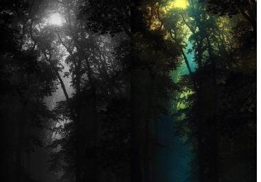 I will colorize your black and white pictures professionally and get new look