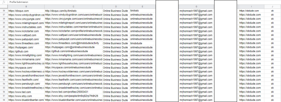 I Will Create 300 Effective Profile Backlinks Creations For SEO Ranking