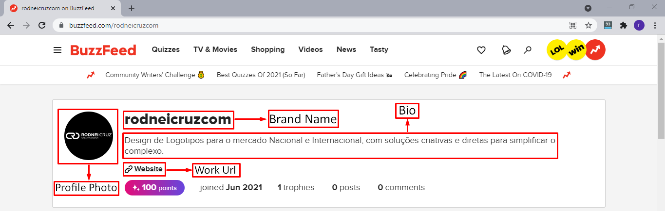 100 High-Quality Safe SEO Profile Backlinks Creation In 2021