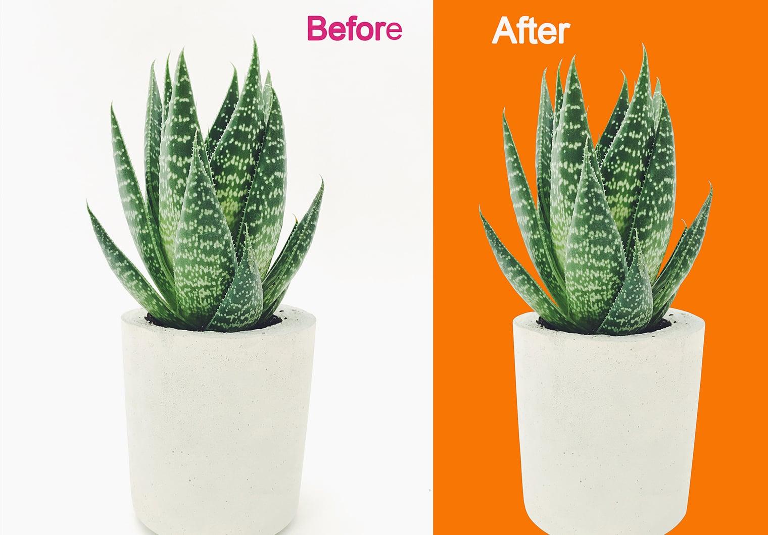 I will do 5 image background remove,clipping path and image editing