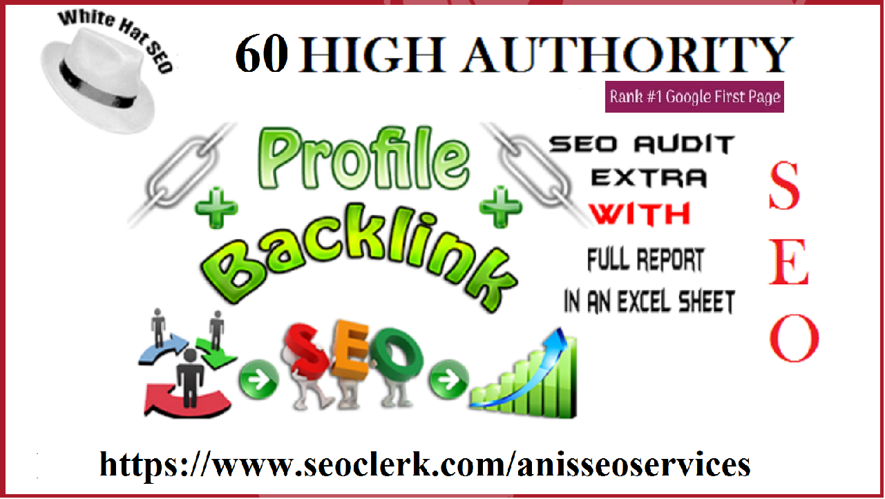 I will build 50 SEO Profile backlinks service for google top ranking
