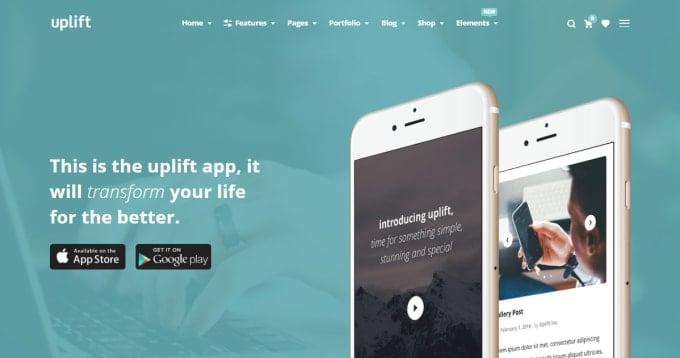 I will do best wordpress website design