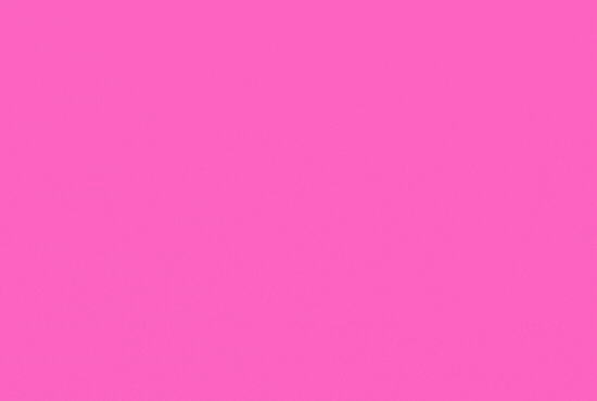 I will install Set Up WordPress, WordPress Theme & Plugin Install