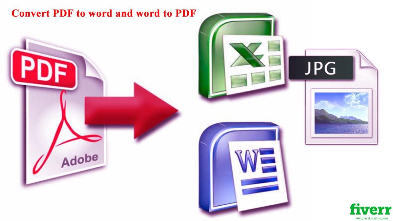 I will convert PDF to word and word to PDF