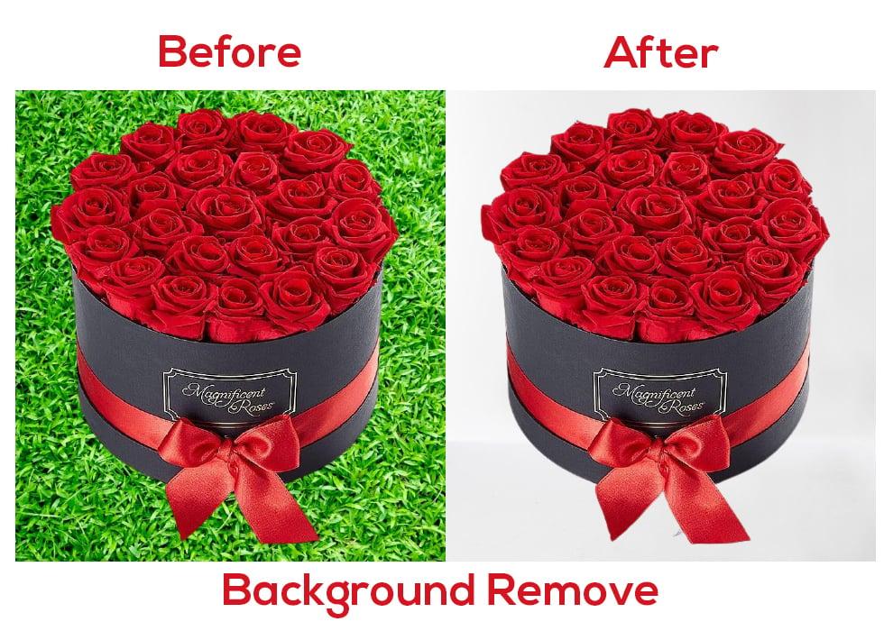 I will do professional background removal, image resize and color change
