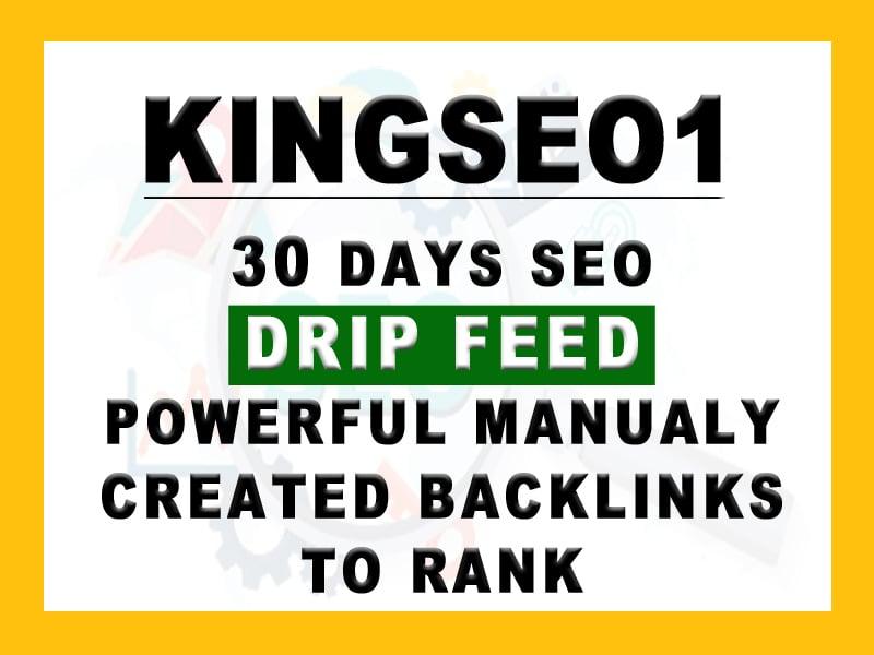 30 Days SEO Drip Feed PowerFull Backlinks TOP on GOOGLE