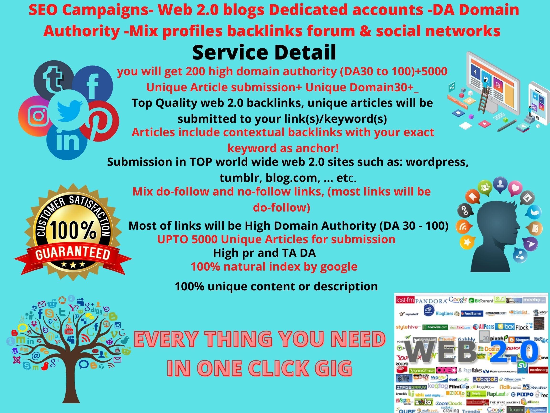 web 2 0 blogs dedicated accounts unique domains30