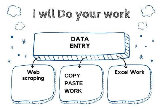 I will do data entry, internet research, and data analysis & typing works 