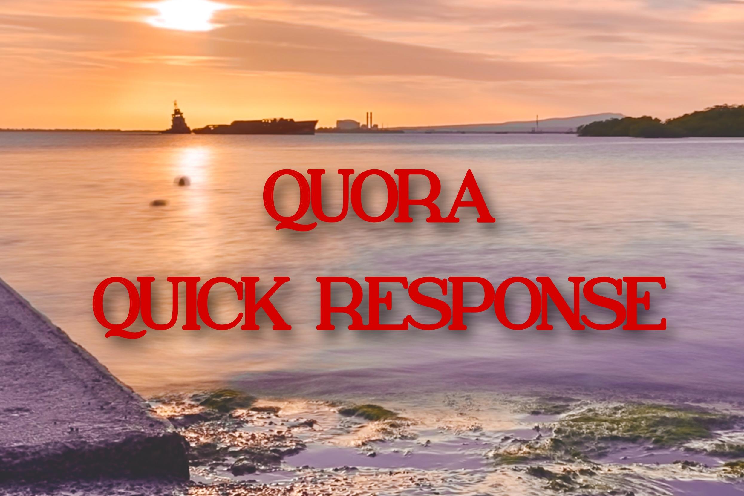 20 high quality Quora answer with your backlink