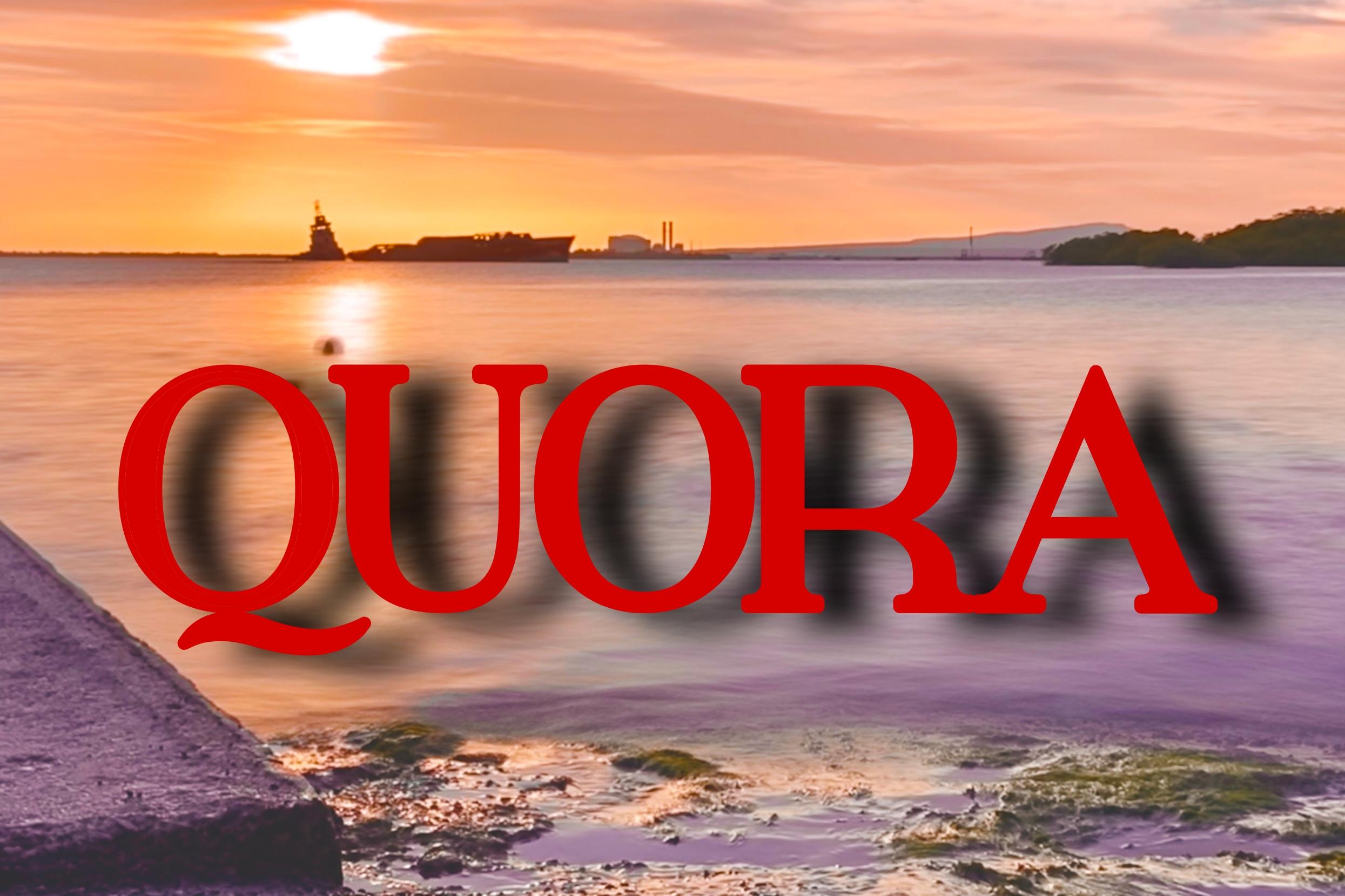 20 high quality Quora answer with your backlink