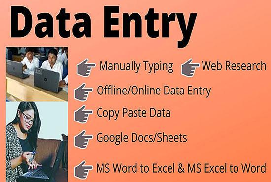 I will do any kind of data entry job