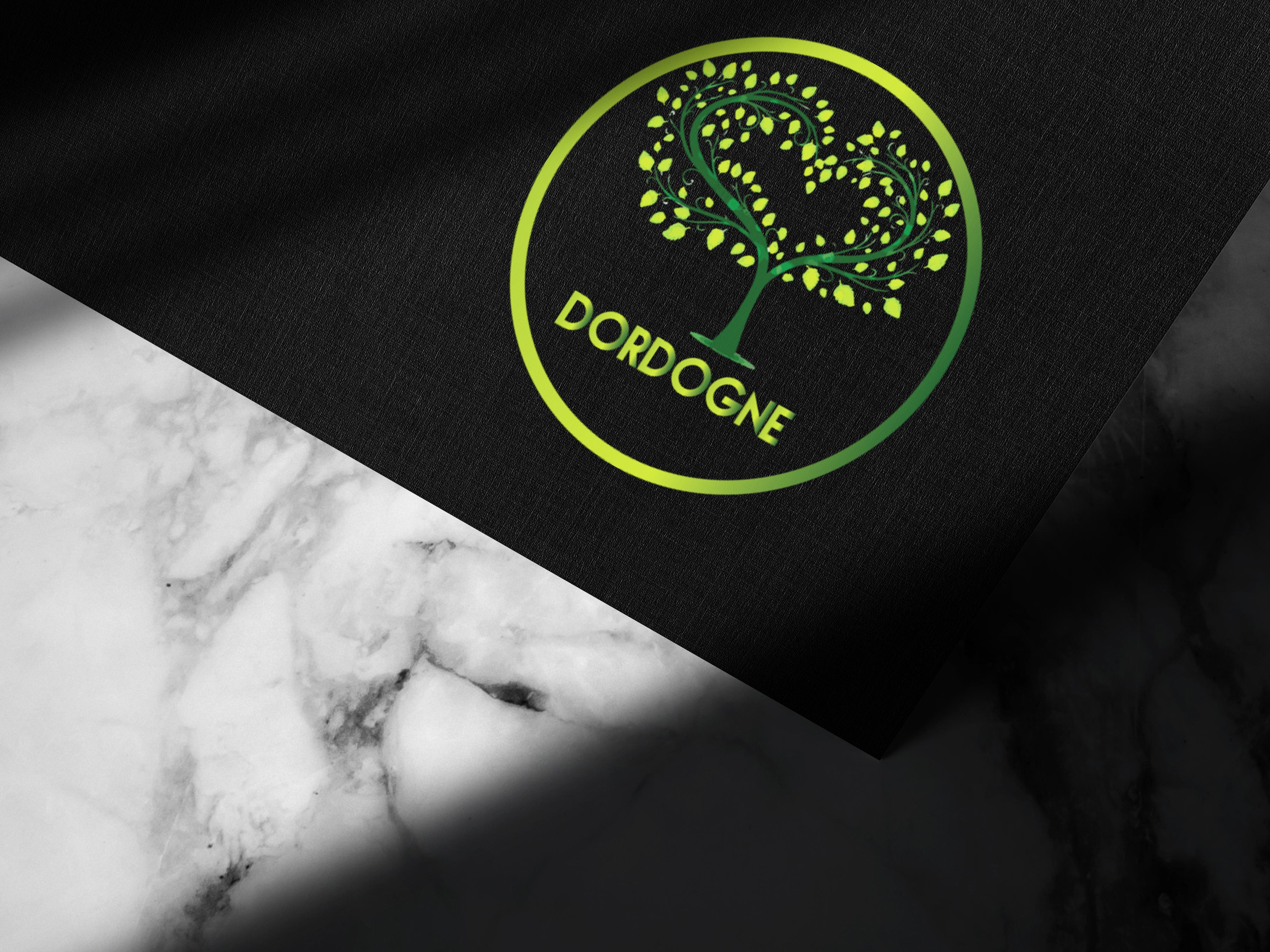 I will create a business minimalist logo with professional design