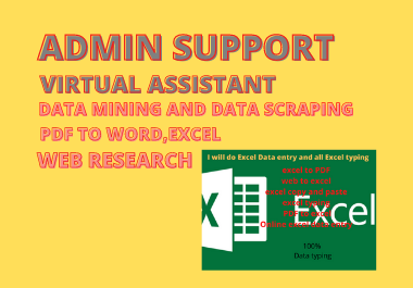 Data Entry Expert in Ms word or Excel 