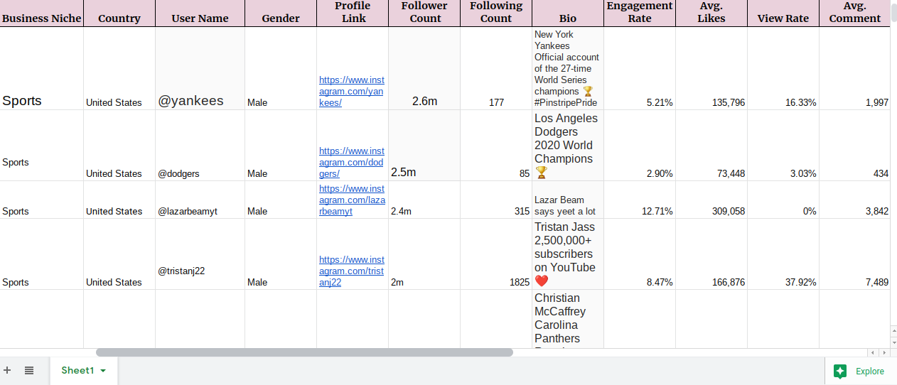 I Will find best Instagram Influencer for your Niche.