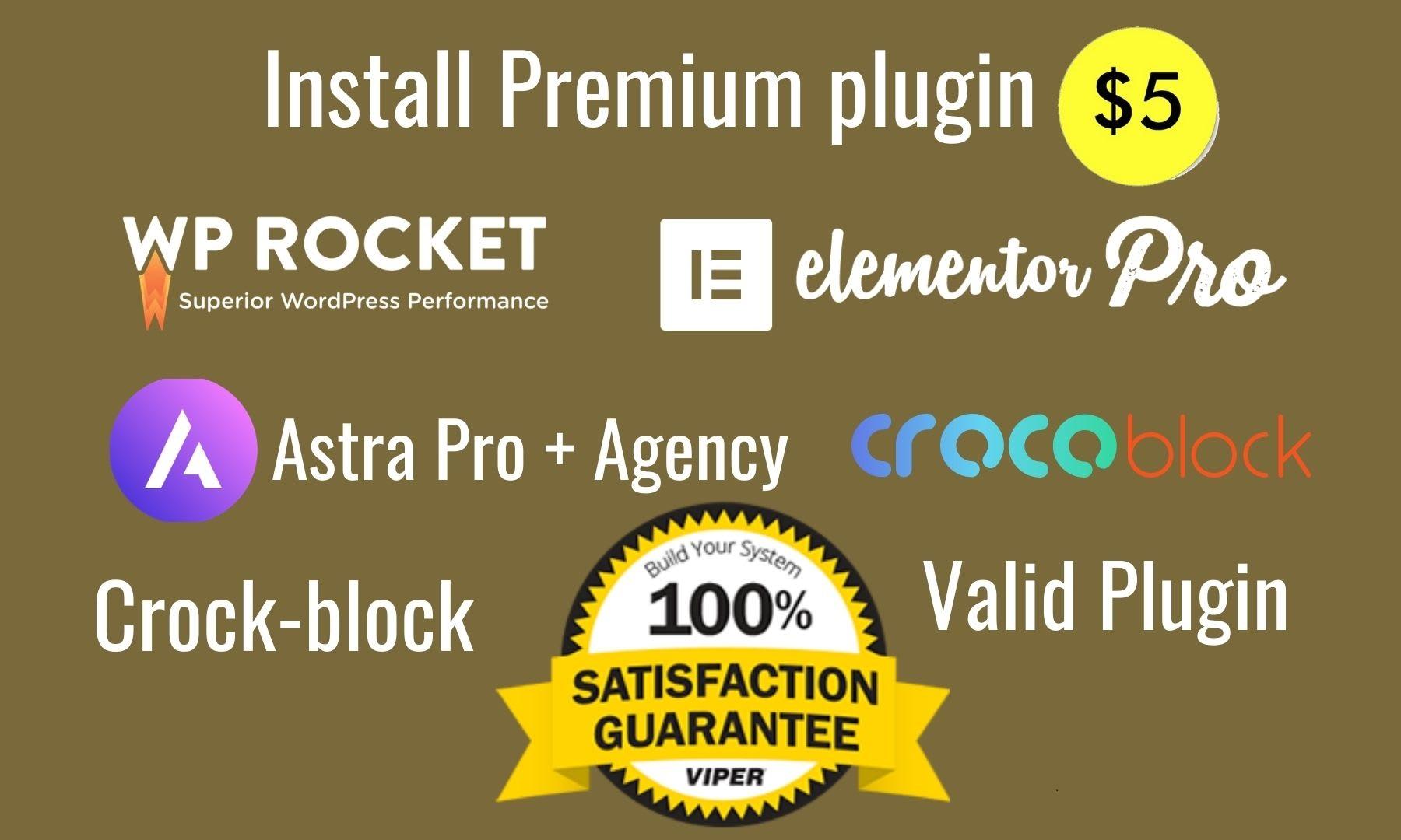 I will install Elementor Pro, Astra Pro, Wp Rocket, Crockblock Wordpress Website Design