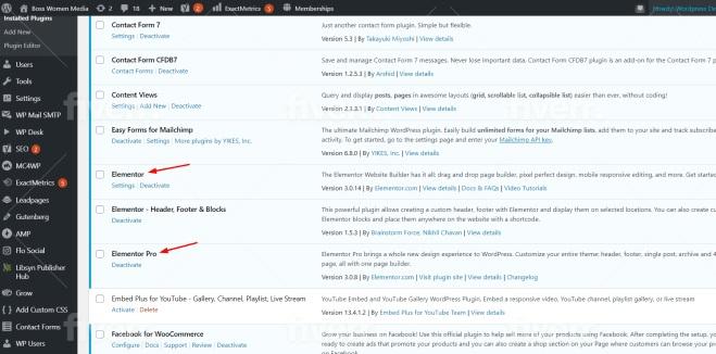 I will install Elementor Pro, Astra Pro, Wp Rocket, Crockblock Wordpress Website Design