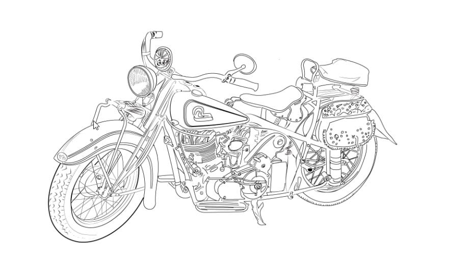 I will draw detail line art illustration vector