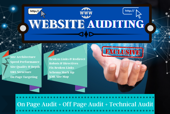 I will provide a professional Website SEO audit report 
