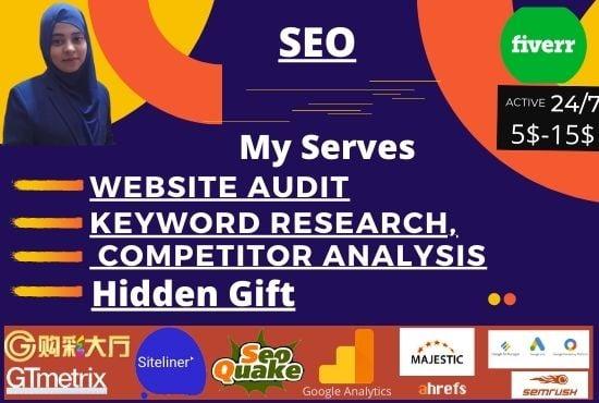 I will provide website audit, keyword research, competitor analysis
