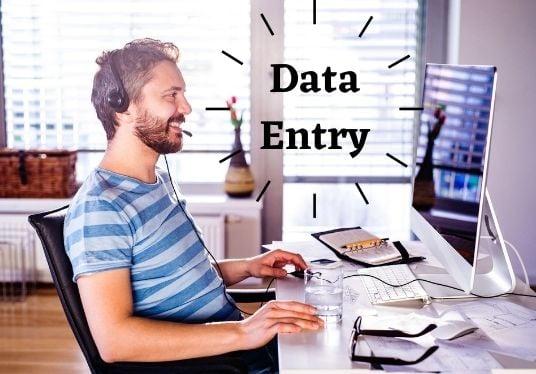 I will be data entry, copy paste, web research, web scraping and excel data entry