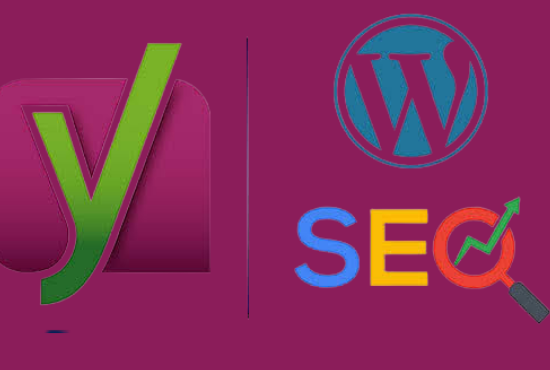 I will do complete SEO for wordpress 