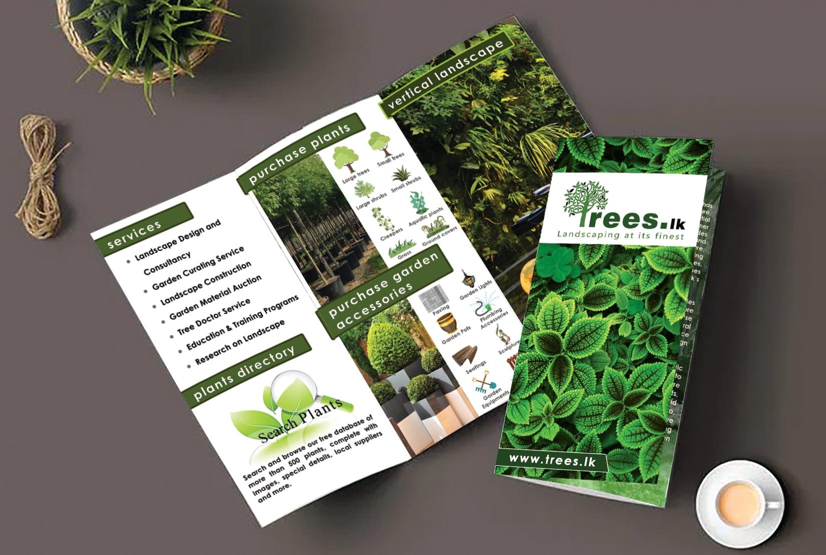 I will design business flyer, leaflet, trifold brochure, postcard