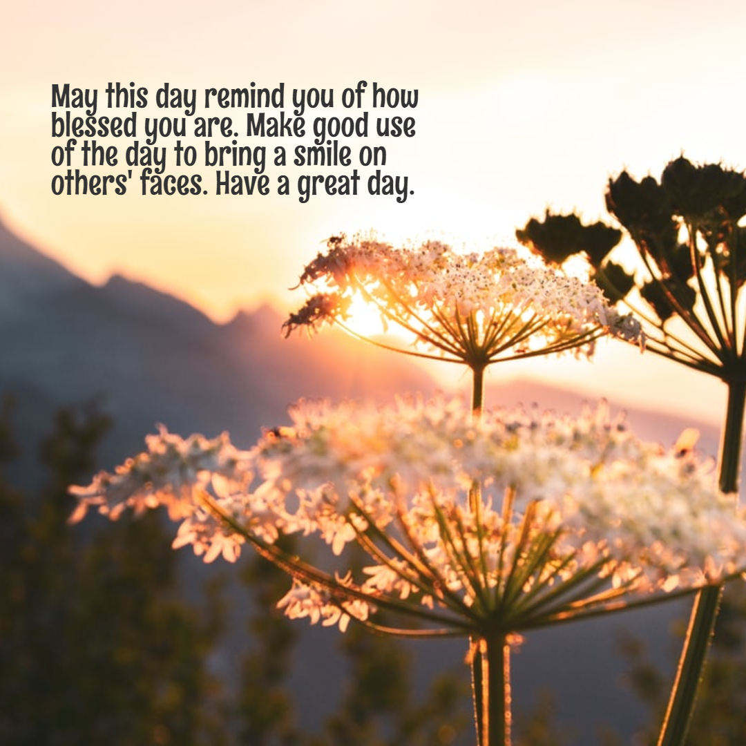 I will Design Your Own Social Media Posts