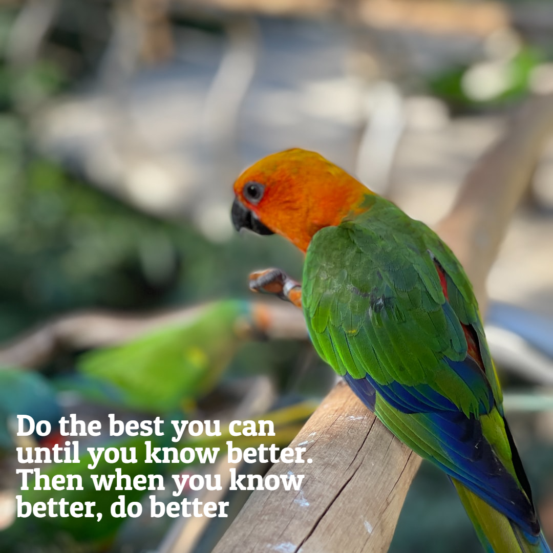 I will Design Your Own Social Media Posts