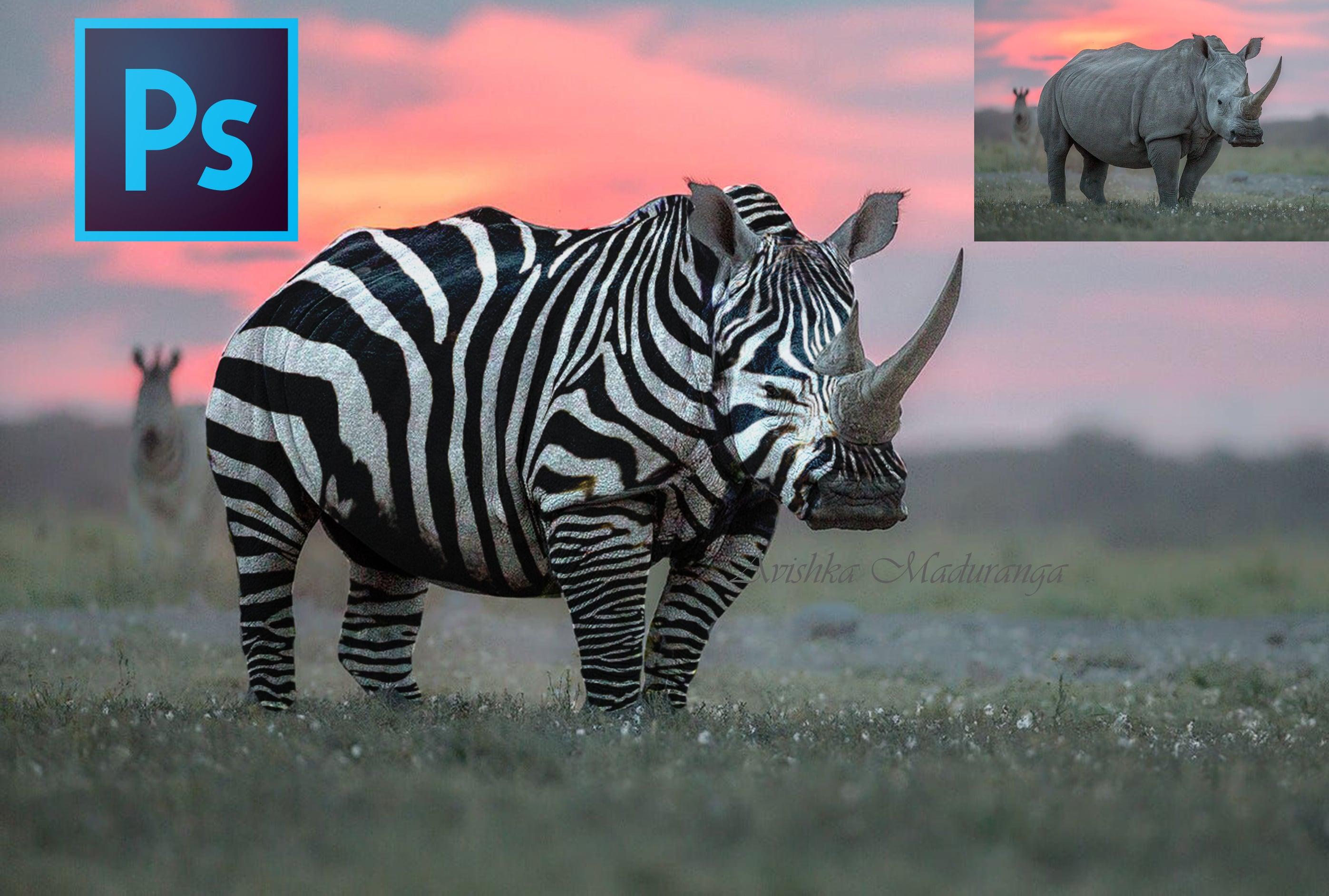 I will do image editing, background removal, oil painting and any advance editing