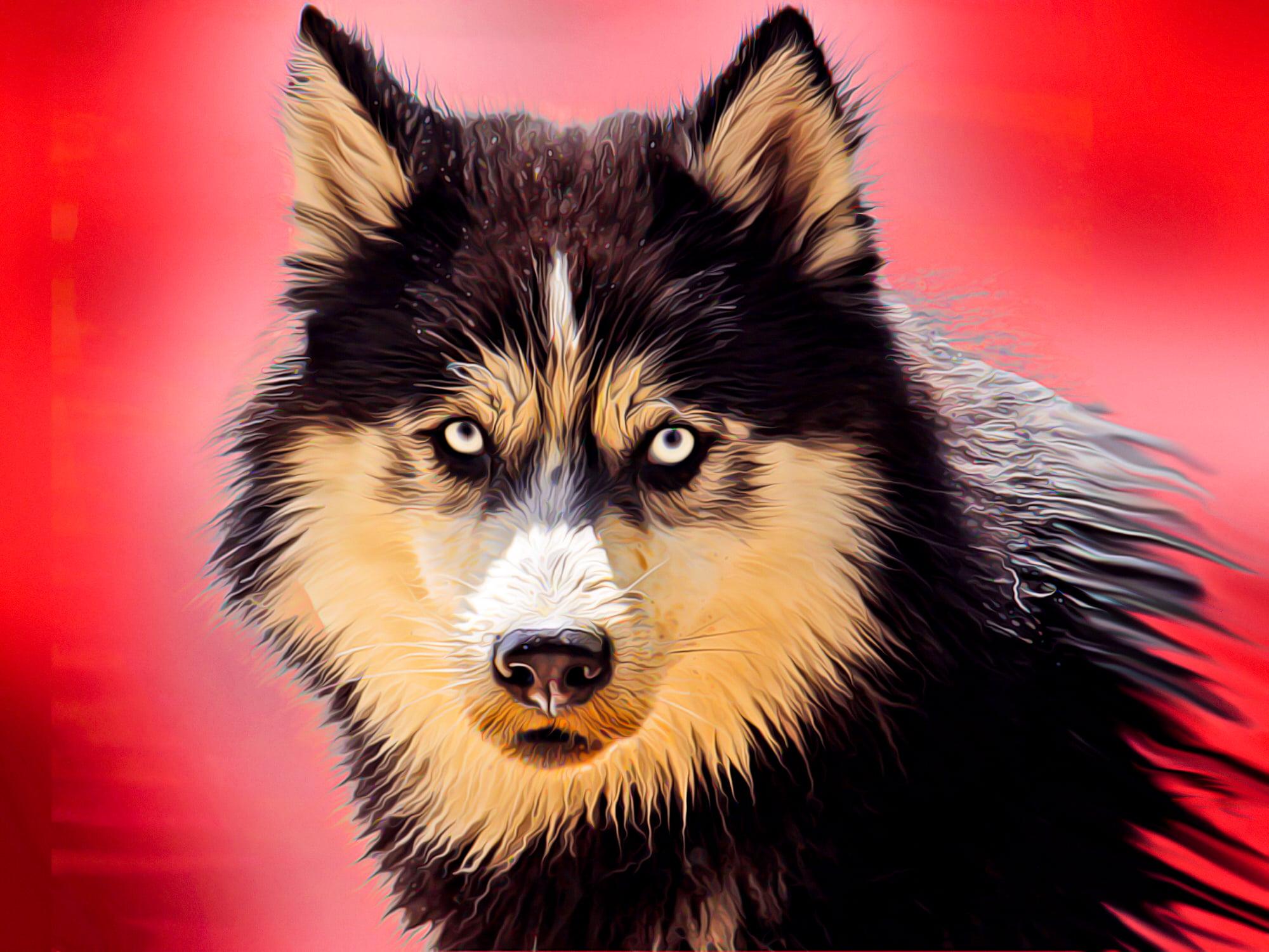 I will draw realistic digital oil painting from your image