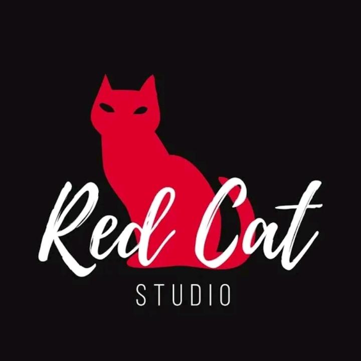 Our Studio will design unique company logo 