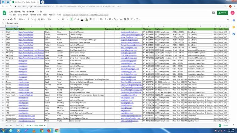 I will do 500 b2b lead generation ,linkedin leads and build prospect email list 
