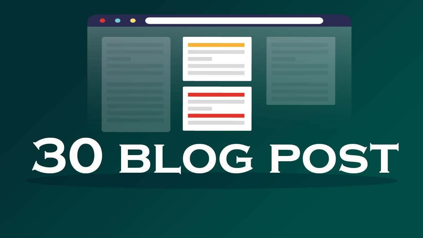 30 High Authority PBN Permanent Backlinks for your websites