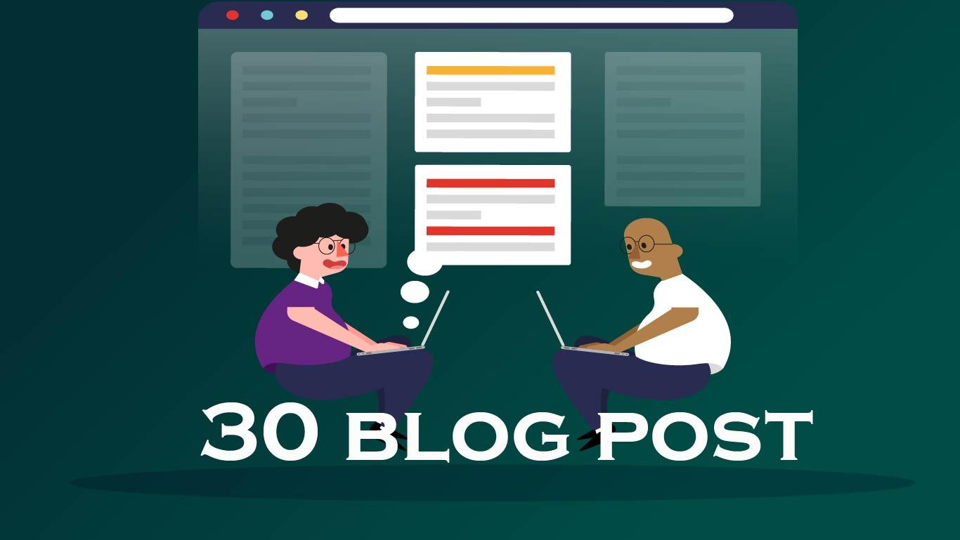 30 High Authority PBN Permanent Backlinks for your websites