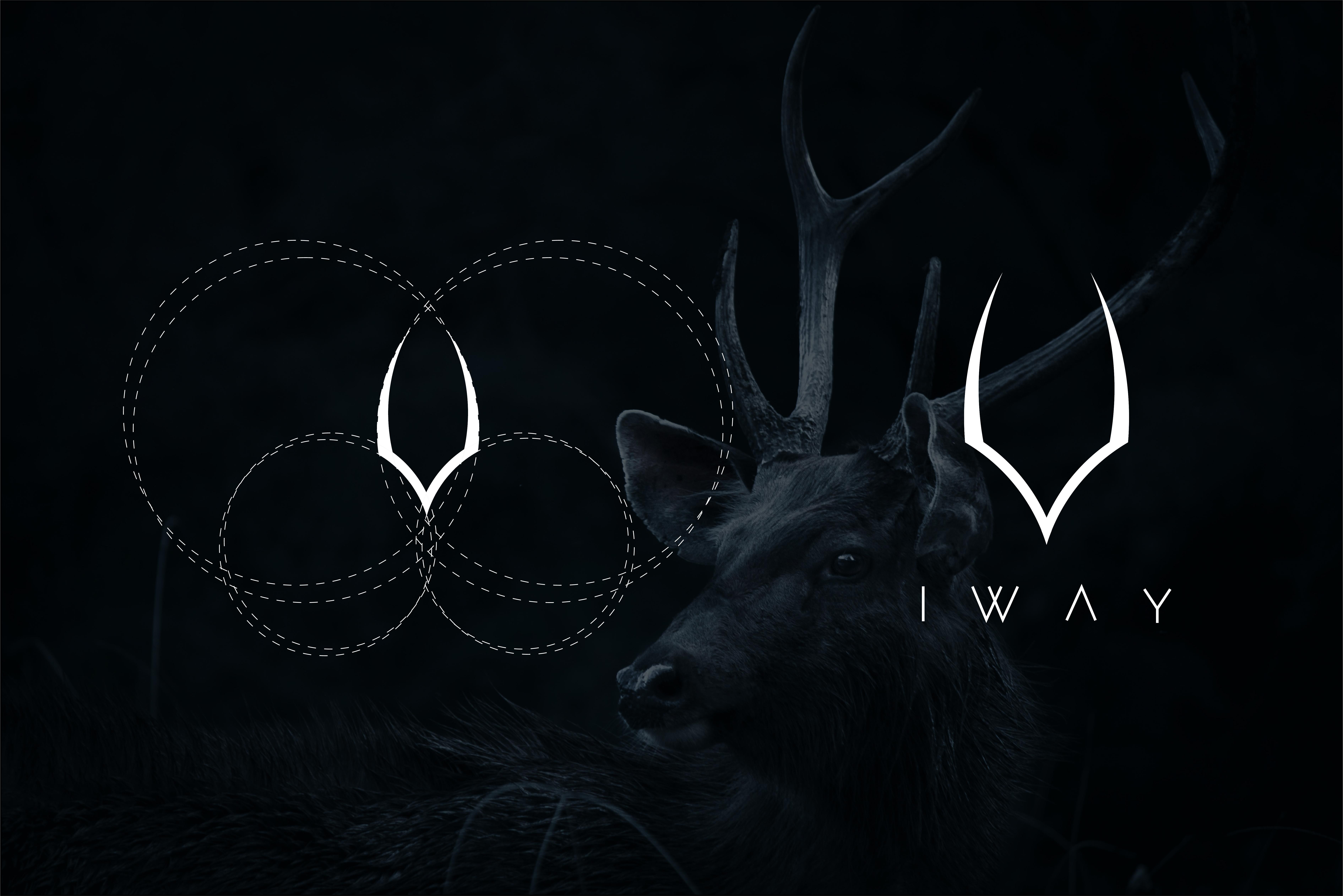 I will do modern minimalist logo designs