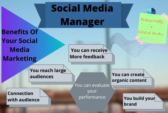 I will create, design and optimize Social Media Account & Page professionally