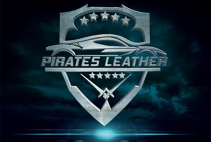 design a professional custom logo and full brand identity