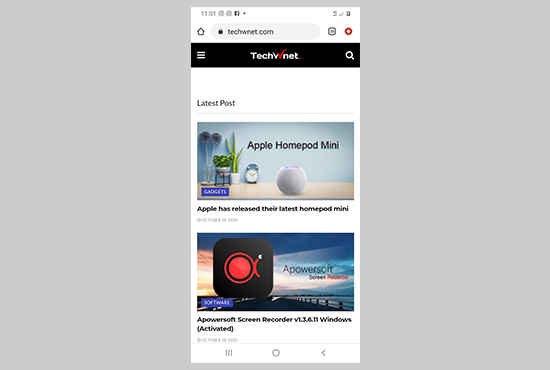 create a responsive wordpress website or wordpress design