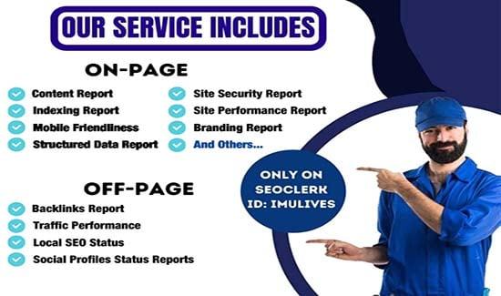I Will Audit Your Website and Send You the Full Report