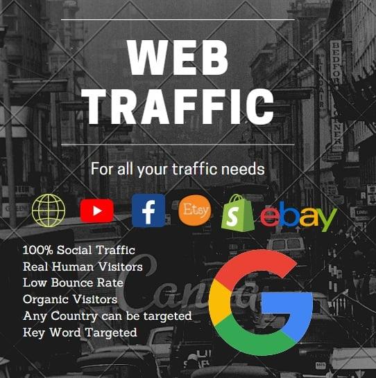 I will bring USA targeted daily real human visitors your web site