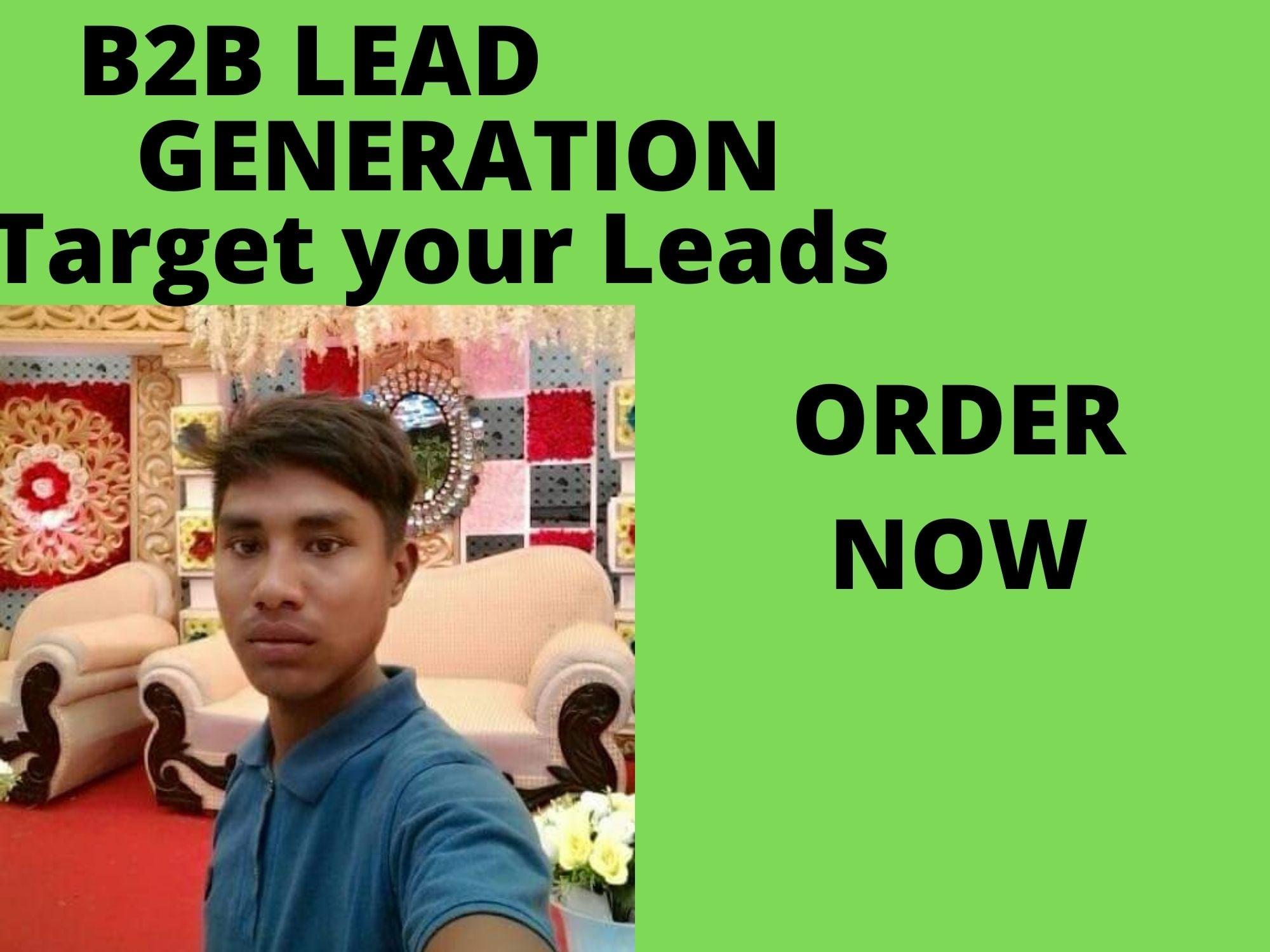 I will do b2b lead generation for your Targeted Niche for $2 