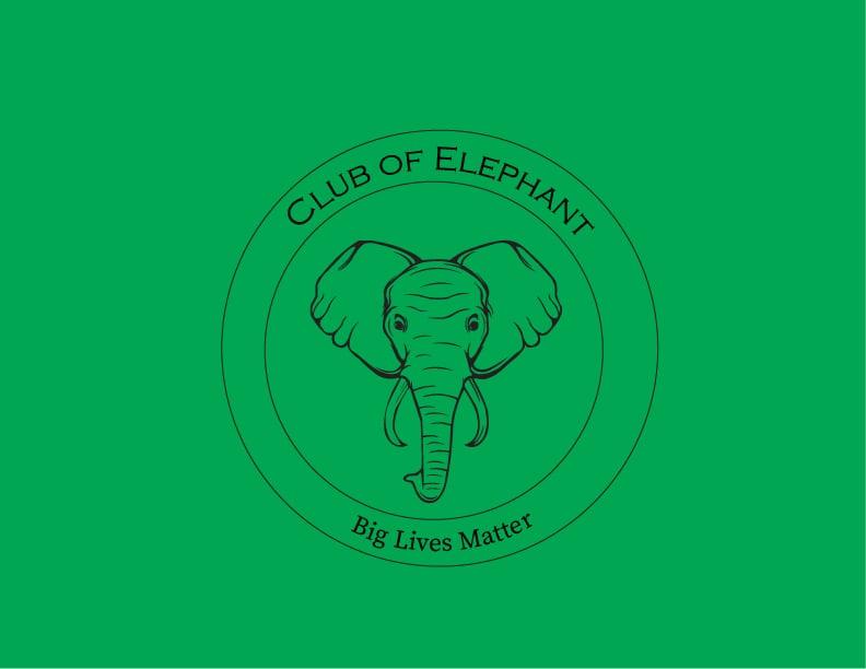 I will create vector, business, mascot and fashion logos