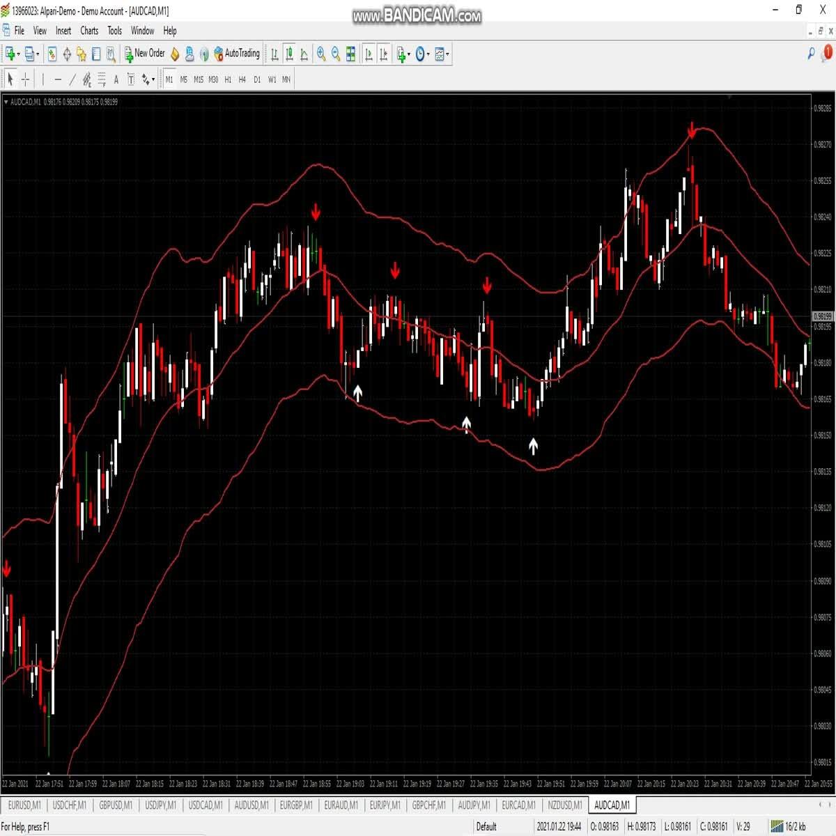 I will provide you best binary indicator