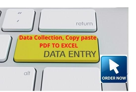 I will do your Data entry, Copy and paste and web research