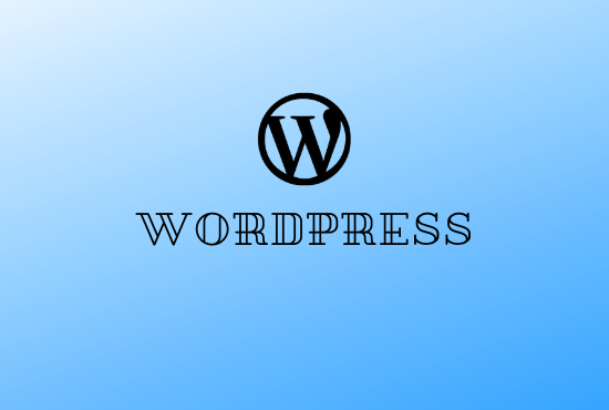  I will do a responsive WordPress website design and customization