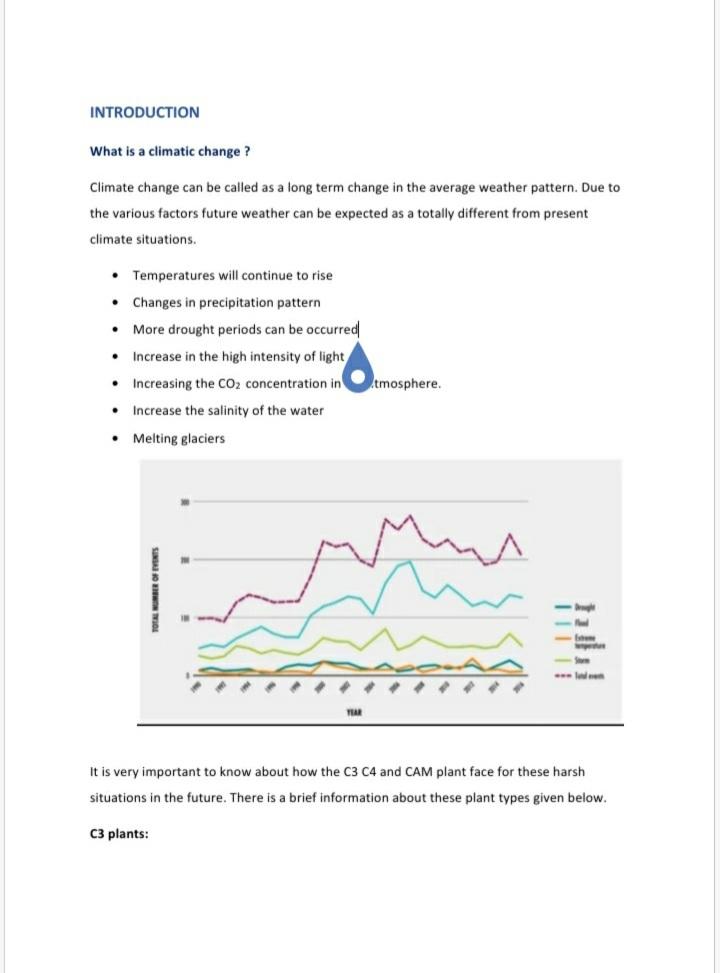 Create your amazing microsoft word document 