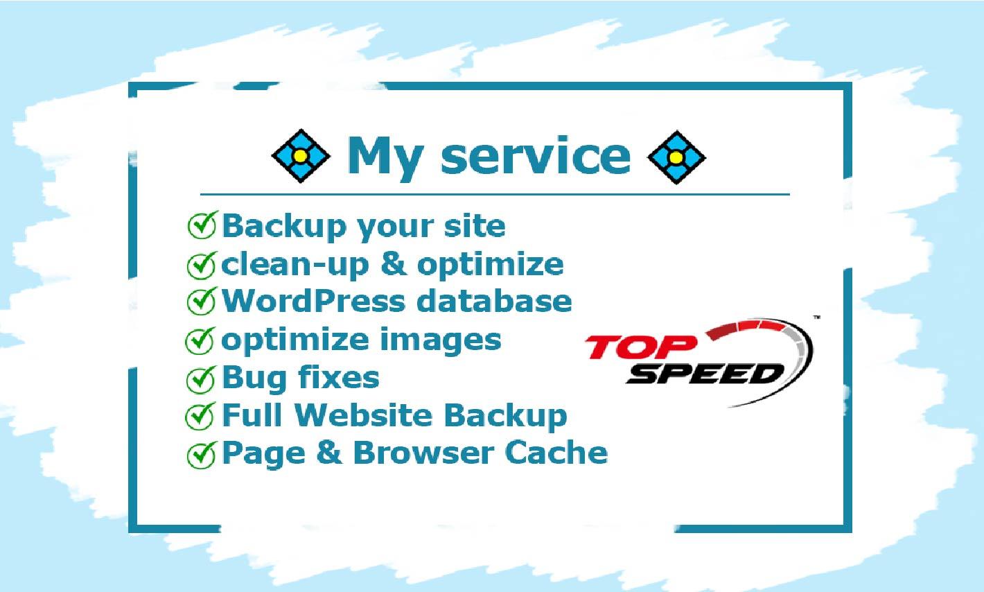 I will do optimization speed up wordpress website and wordpress page