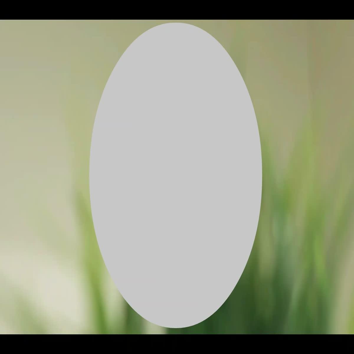 I will professional edit your youtube video