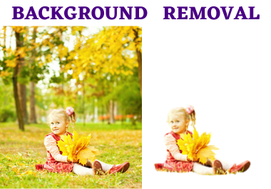 Do 25 Background removal/Background Change in 5 hours